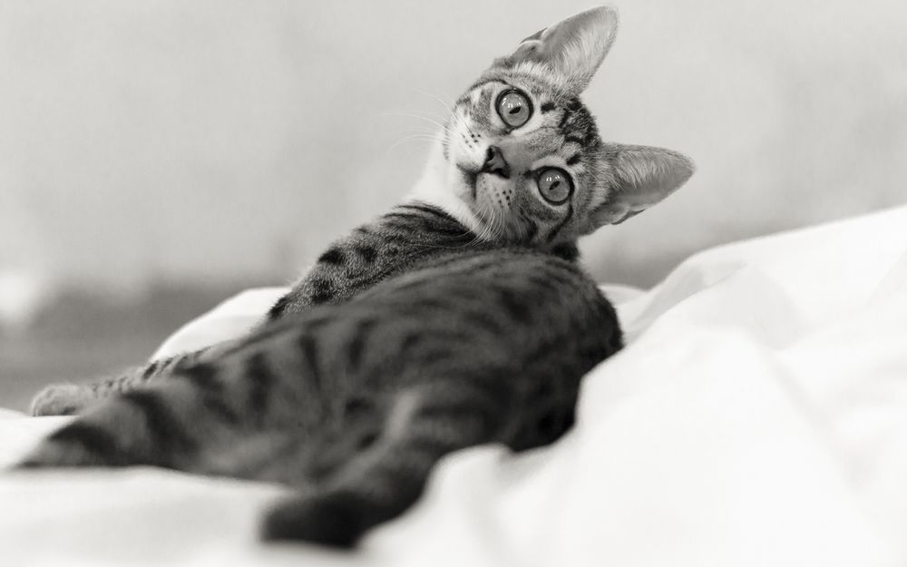 Красотуличка проснулась