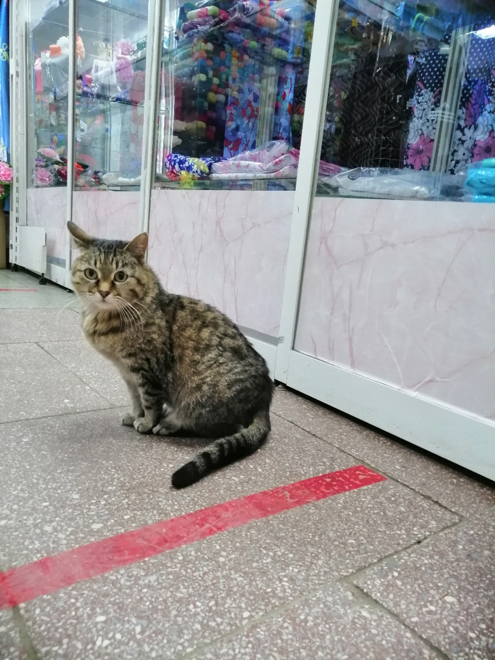 Что за коронавирус где все?