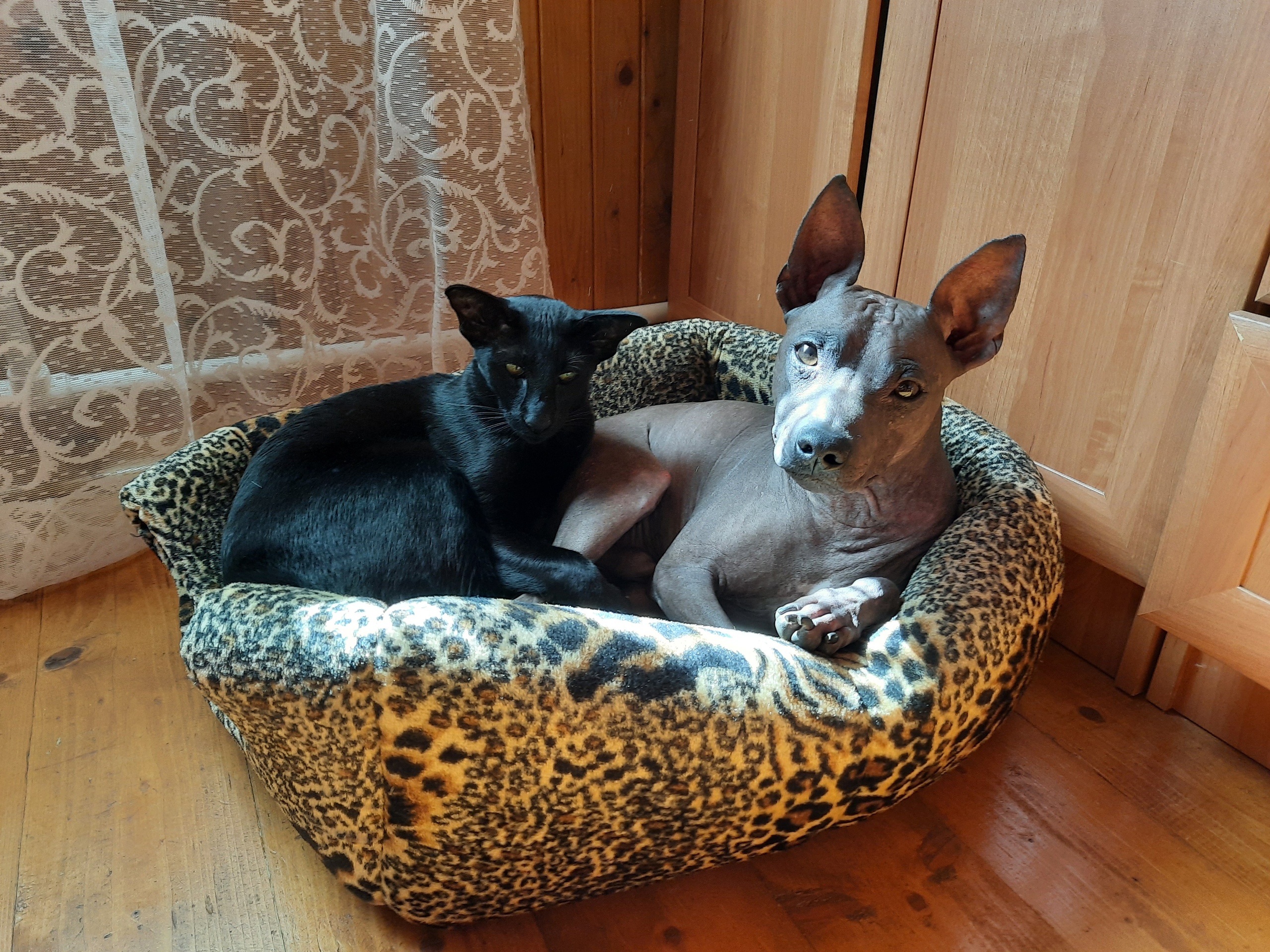 Загнездились