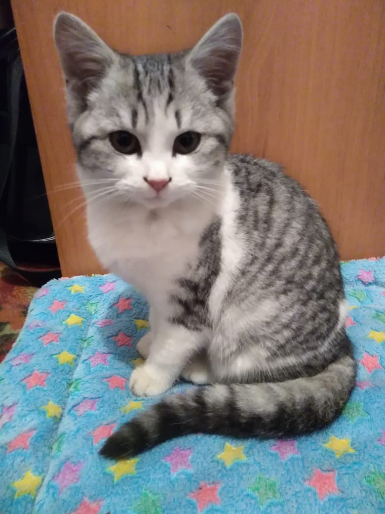 Спокойствие страшная сила