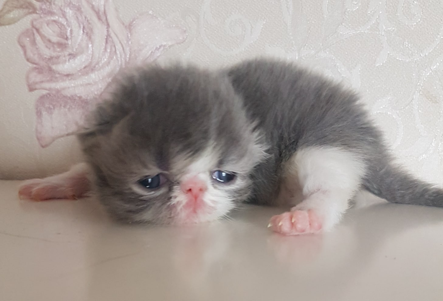 Махонькая очеровашка