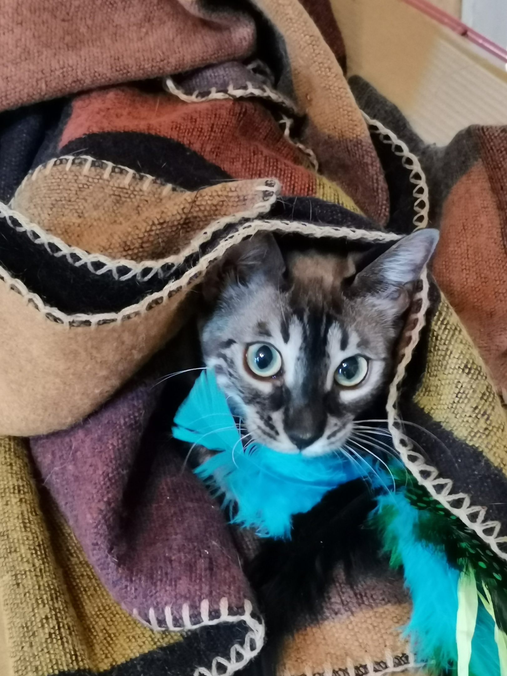 Прятки в одеялке