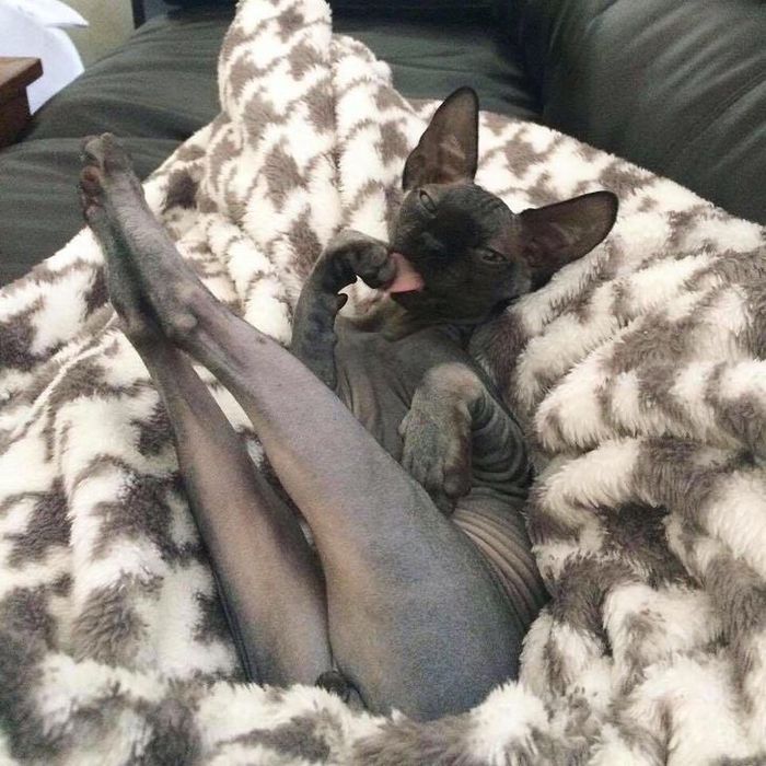 Оригинальная поза