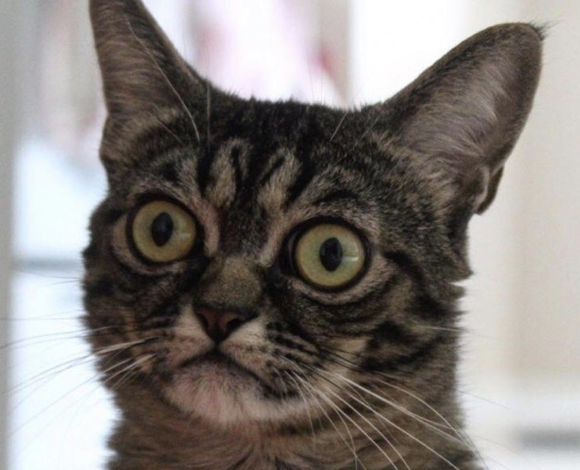 Как это, меня на море не берёте