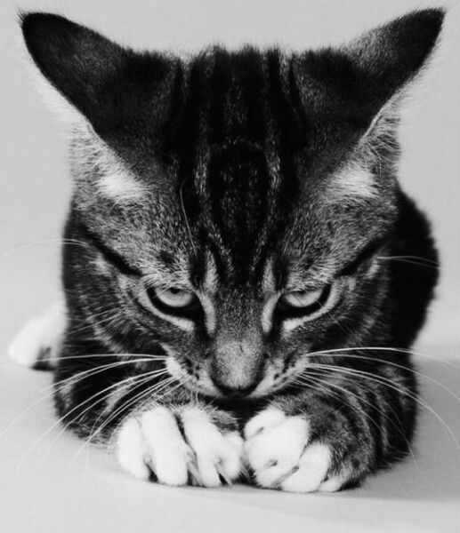 Я не виноват