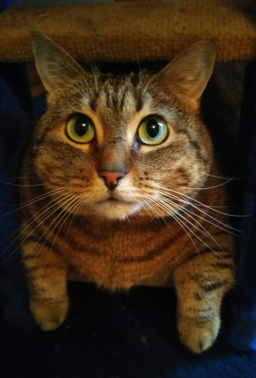 Что так быстро нашли