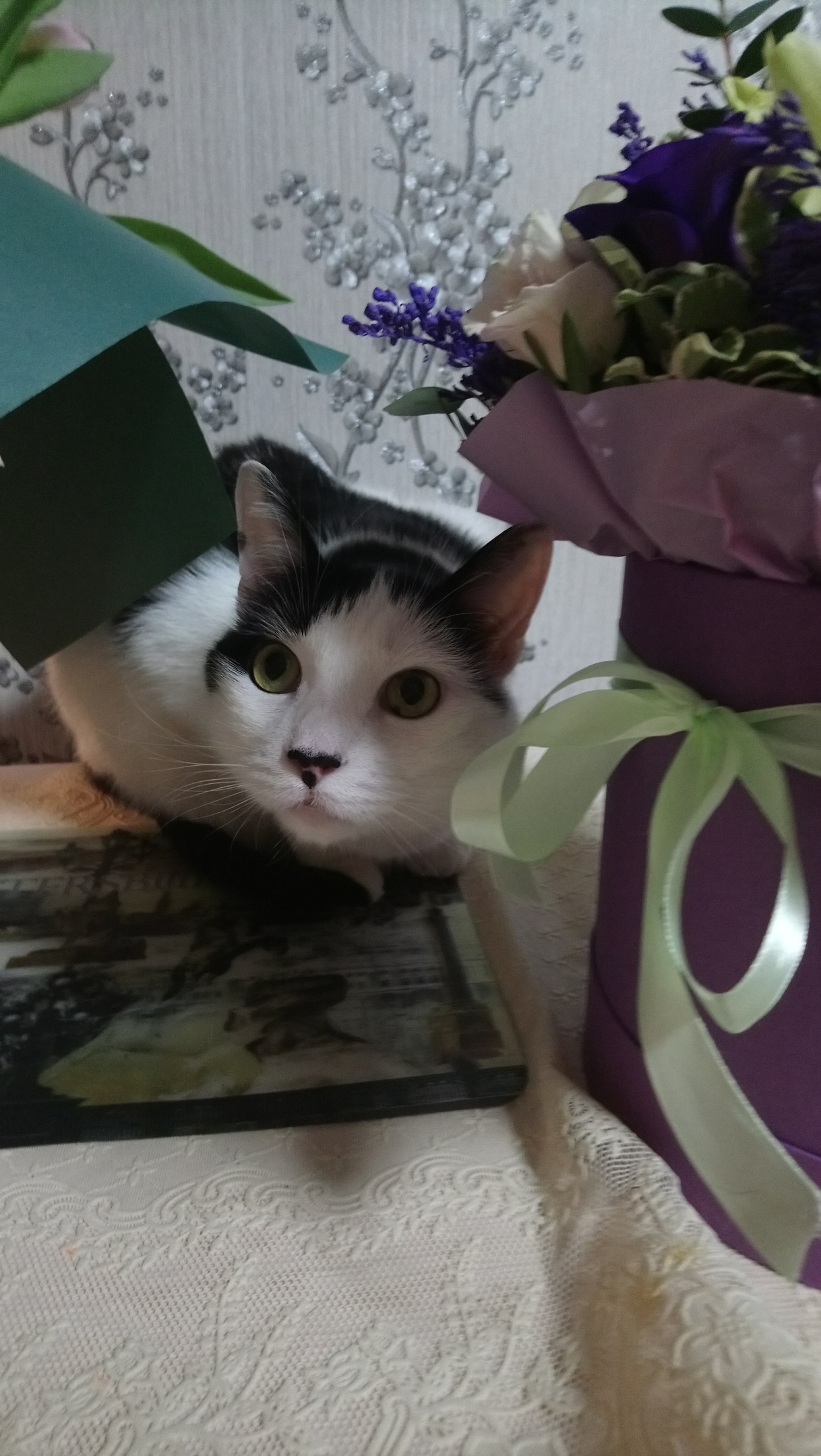 Мои цветочки