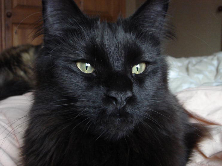 Моя постелька