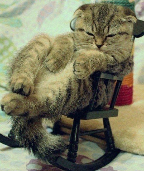 Отдых в кресле