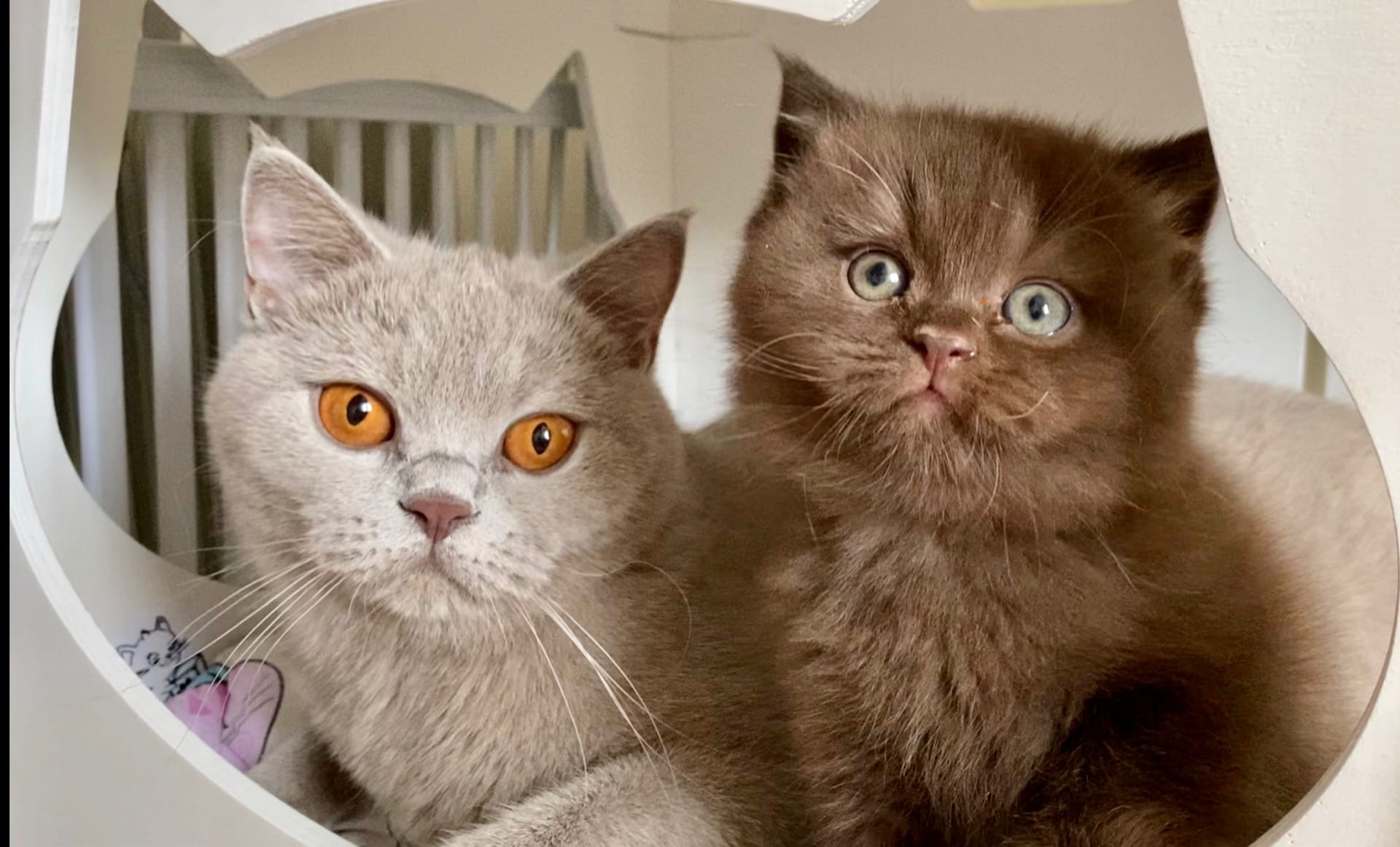 Мама с сынком в домике