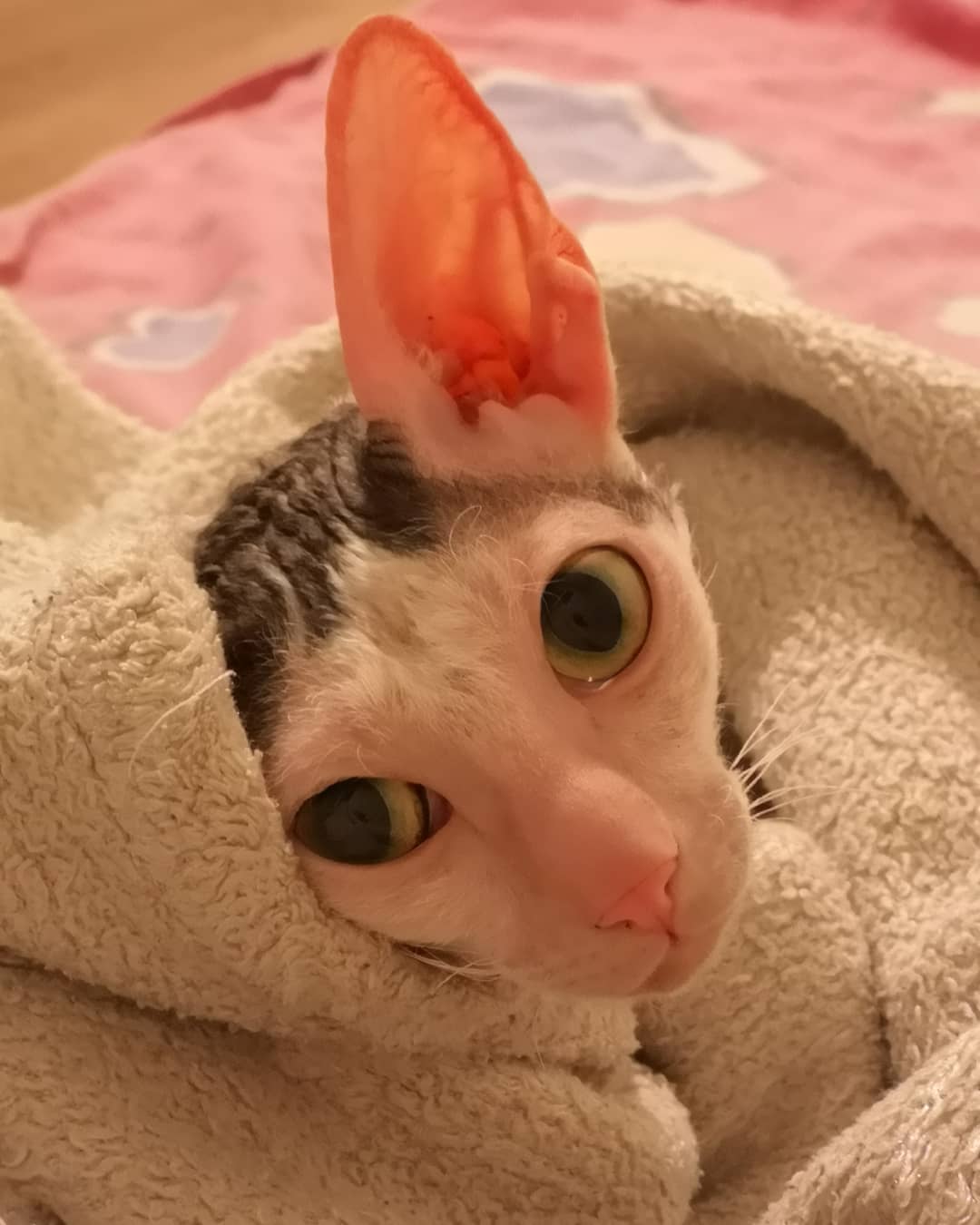 Пожалуйста, включите обогреватель