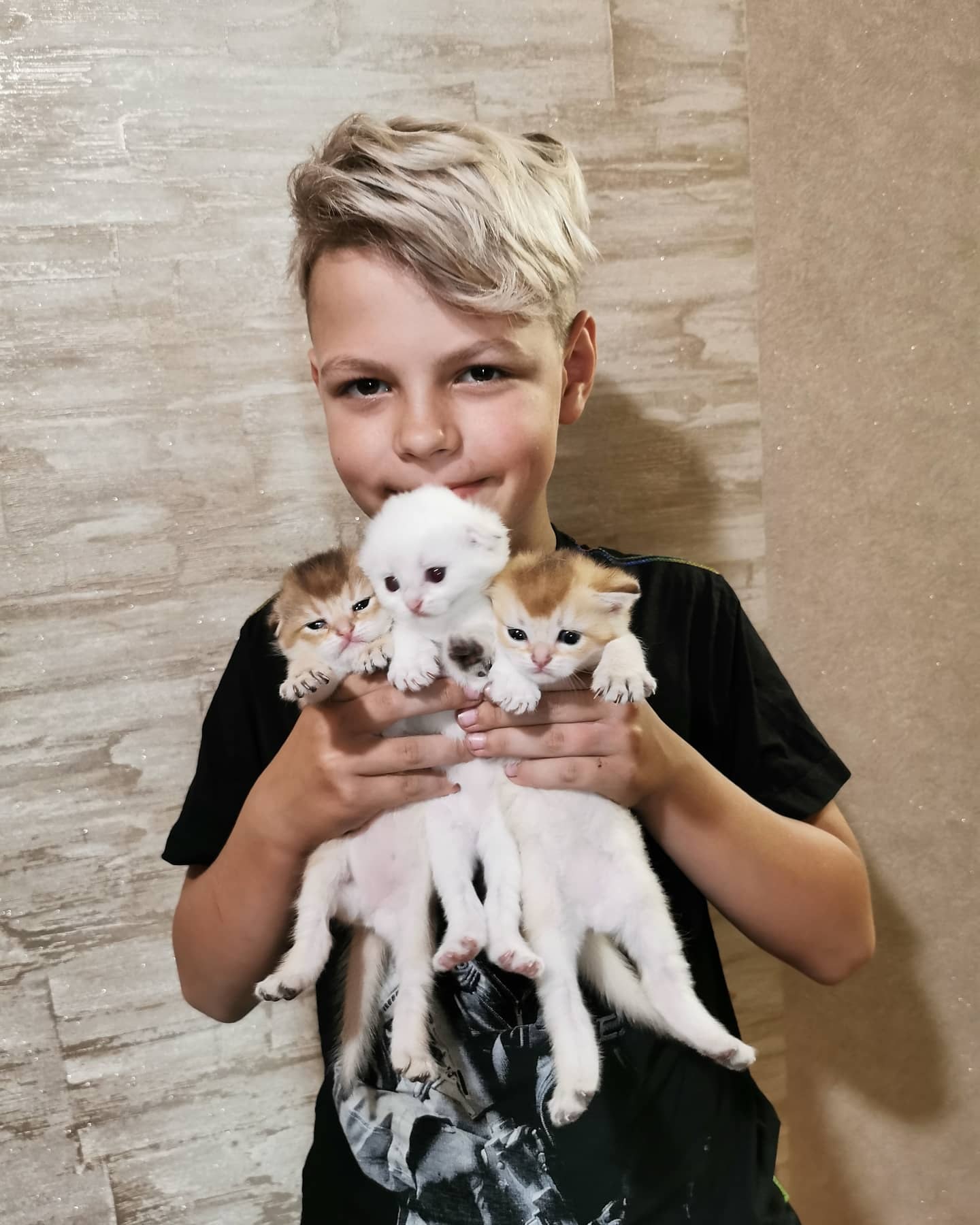 Котобукет милоты