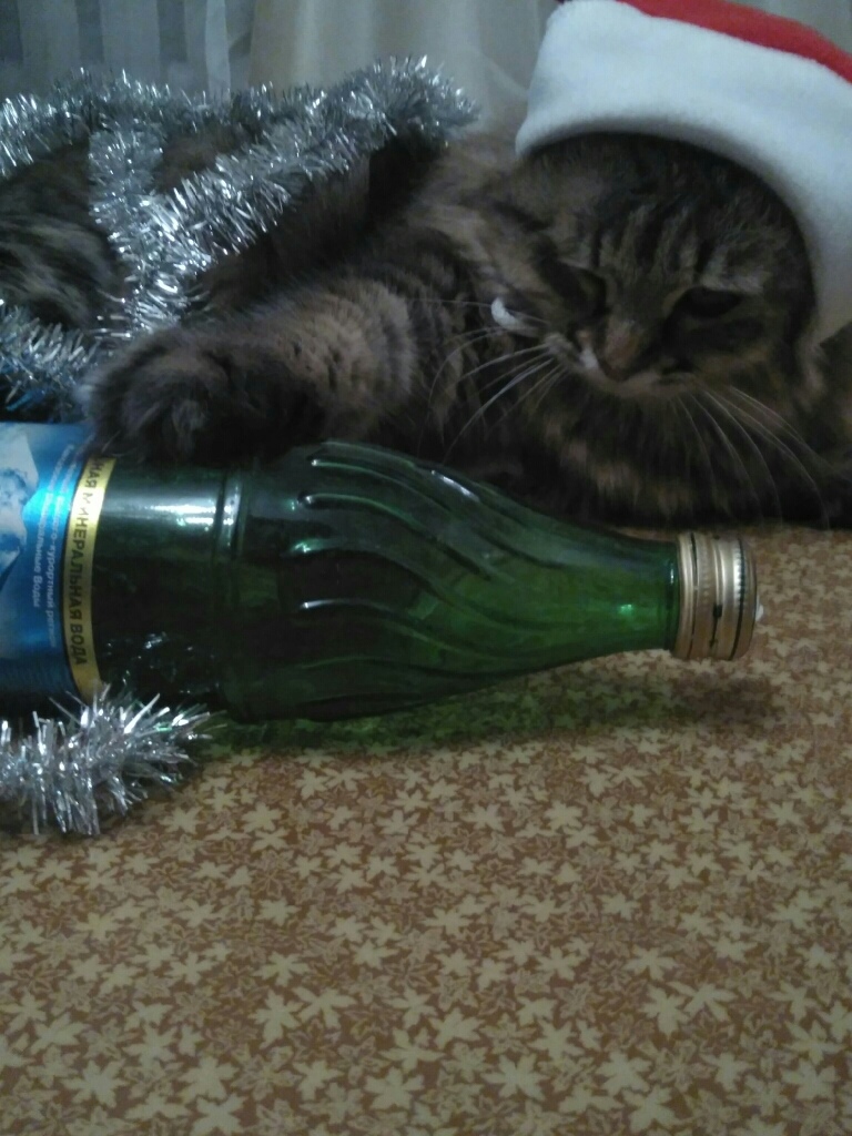 Всю воду выпили, а у кисулика сушняк