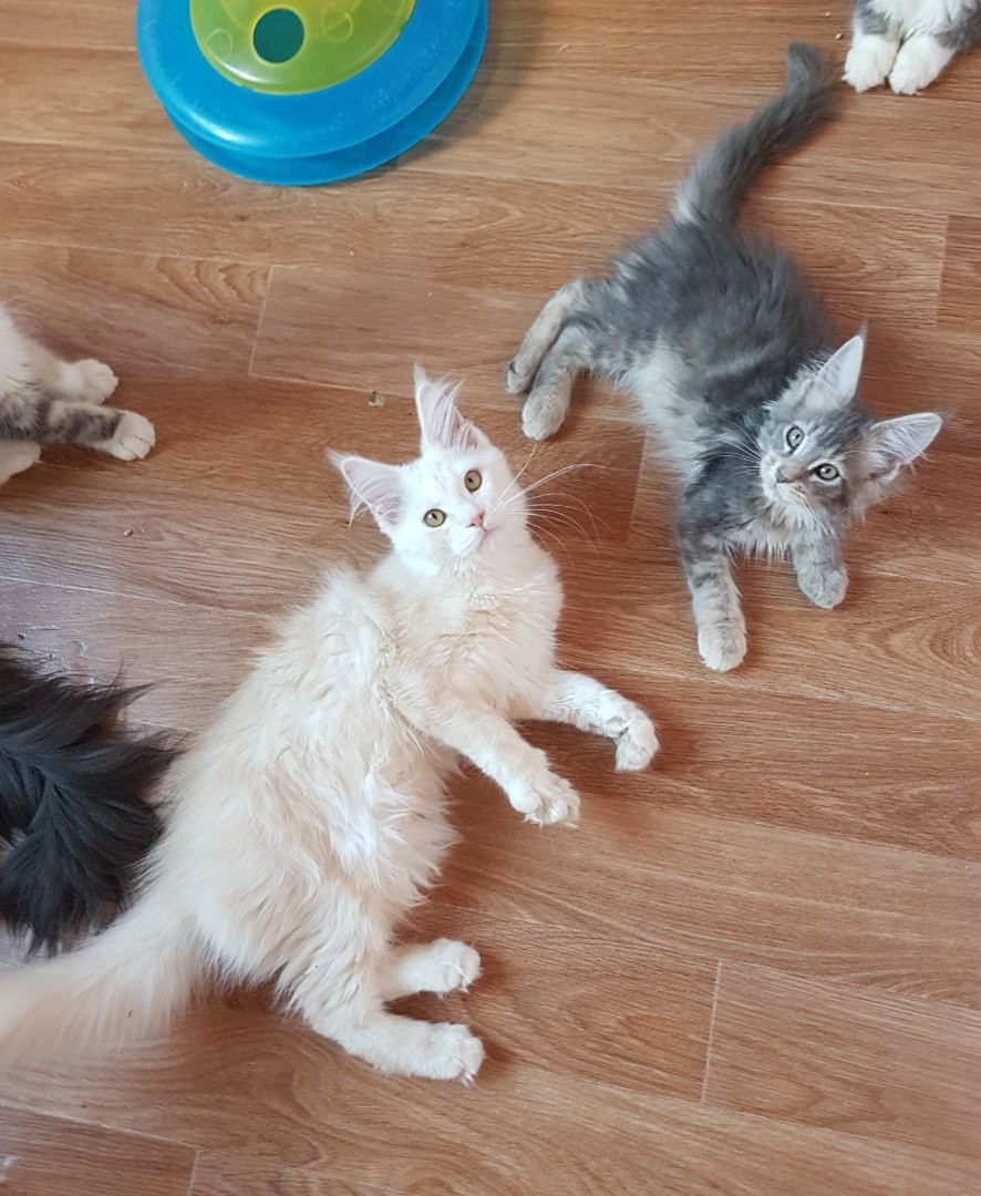 Уставшая бригада