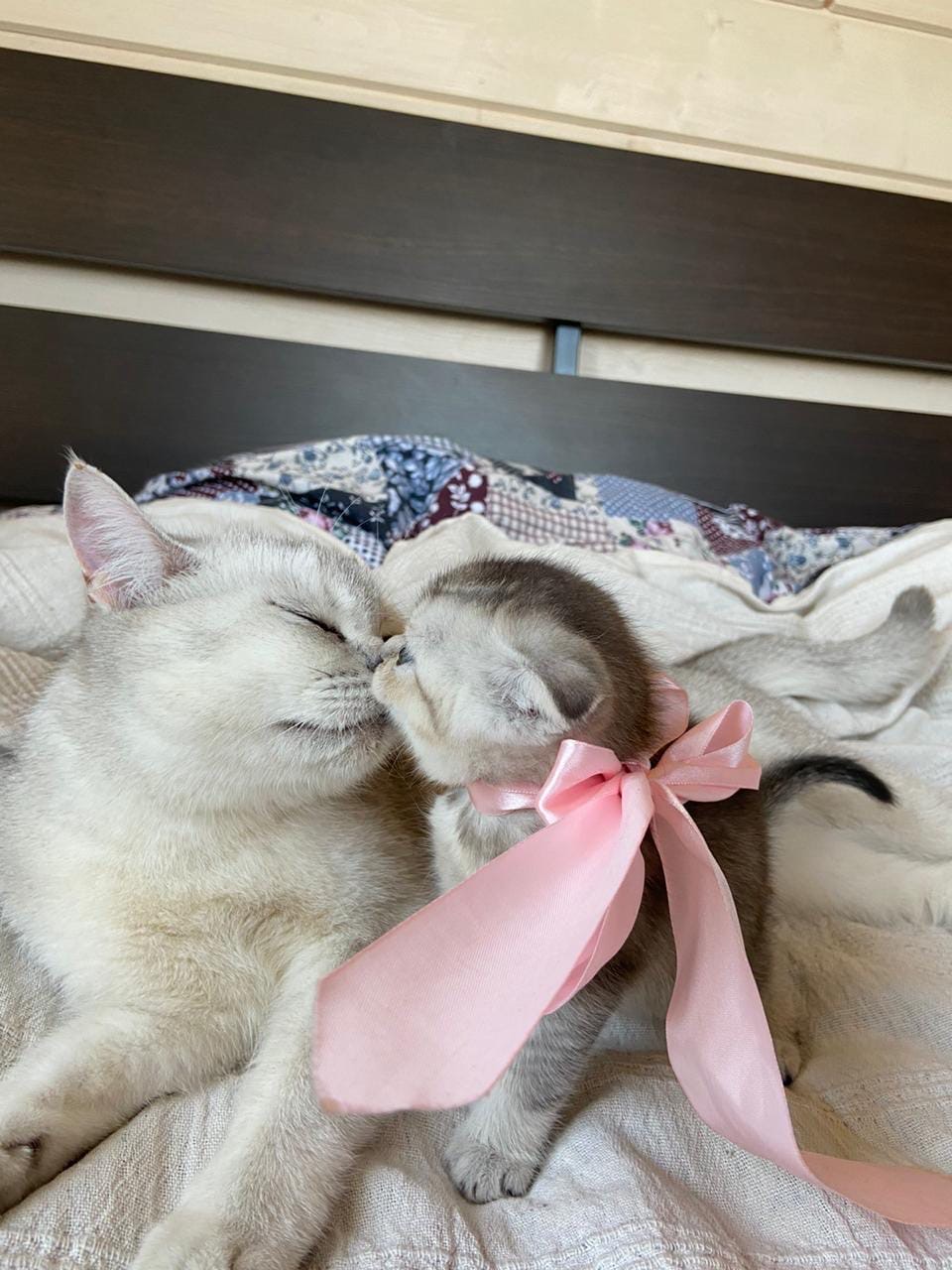 Мамина радость