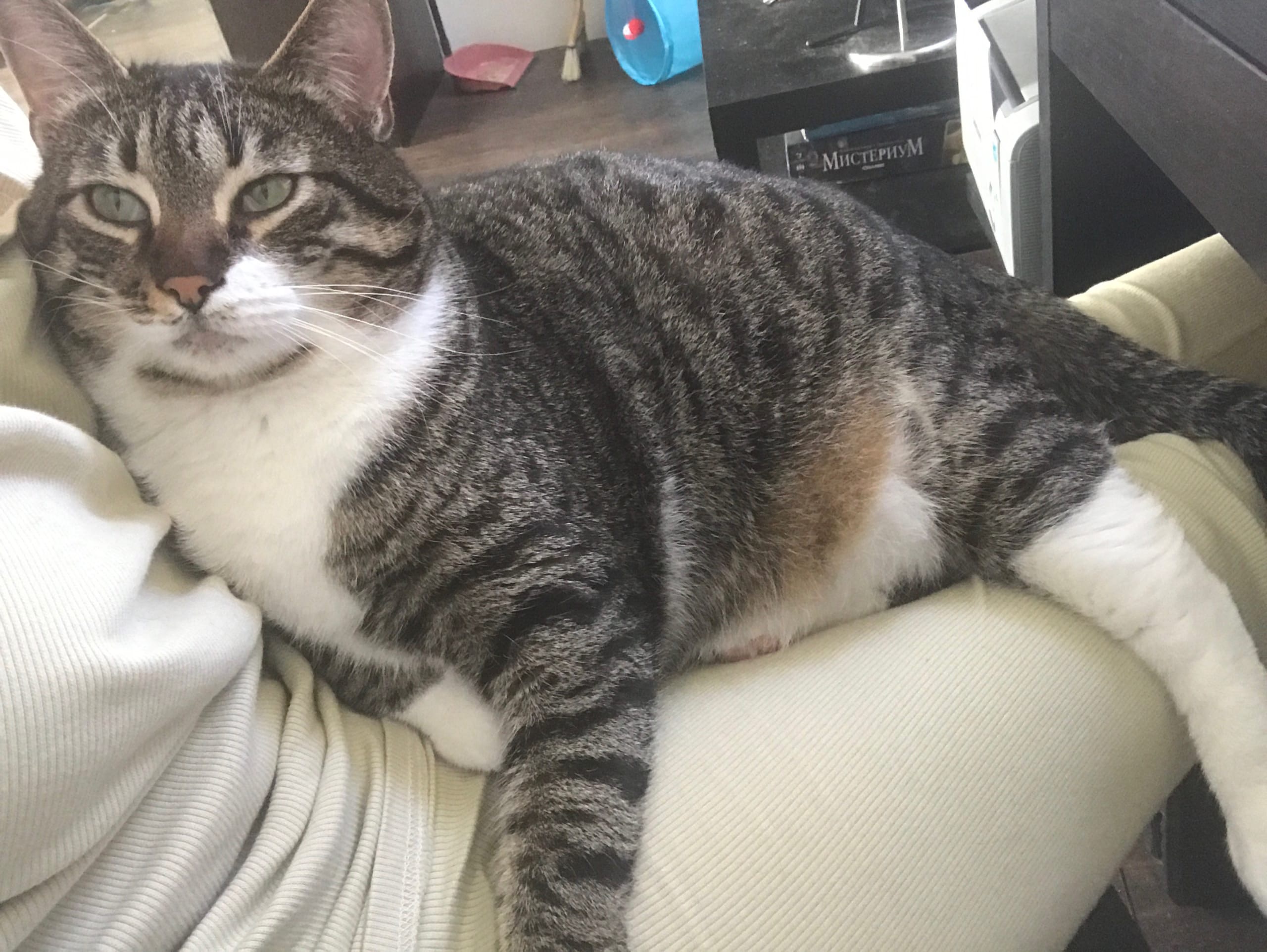 На коленочках лежу