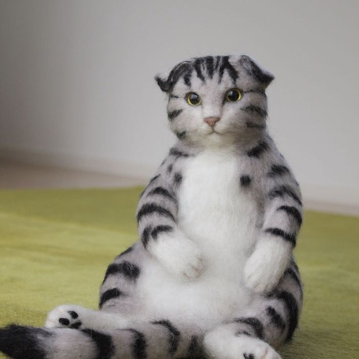 Полосатый добряк