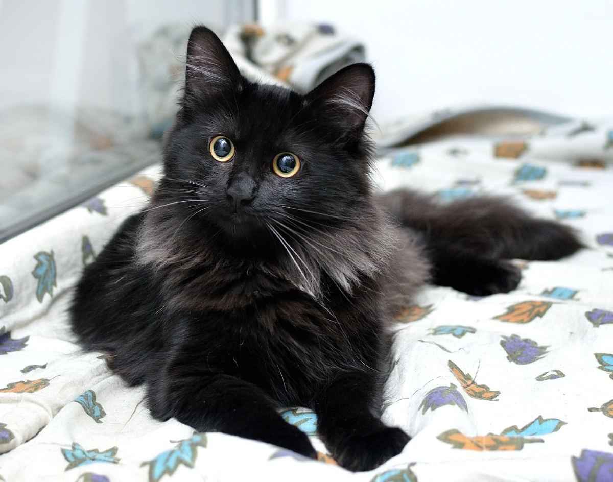 Глазастенькая красотуля