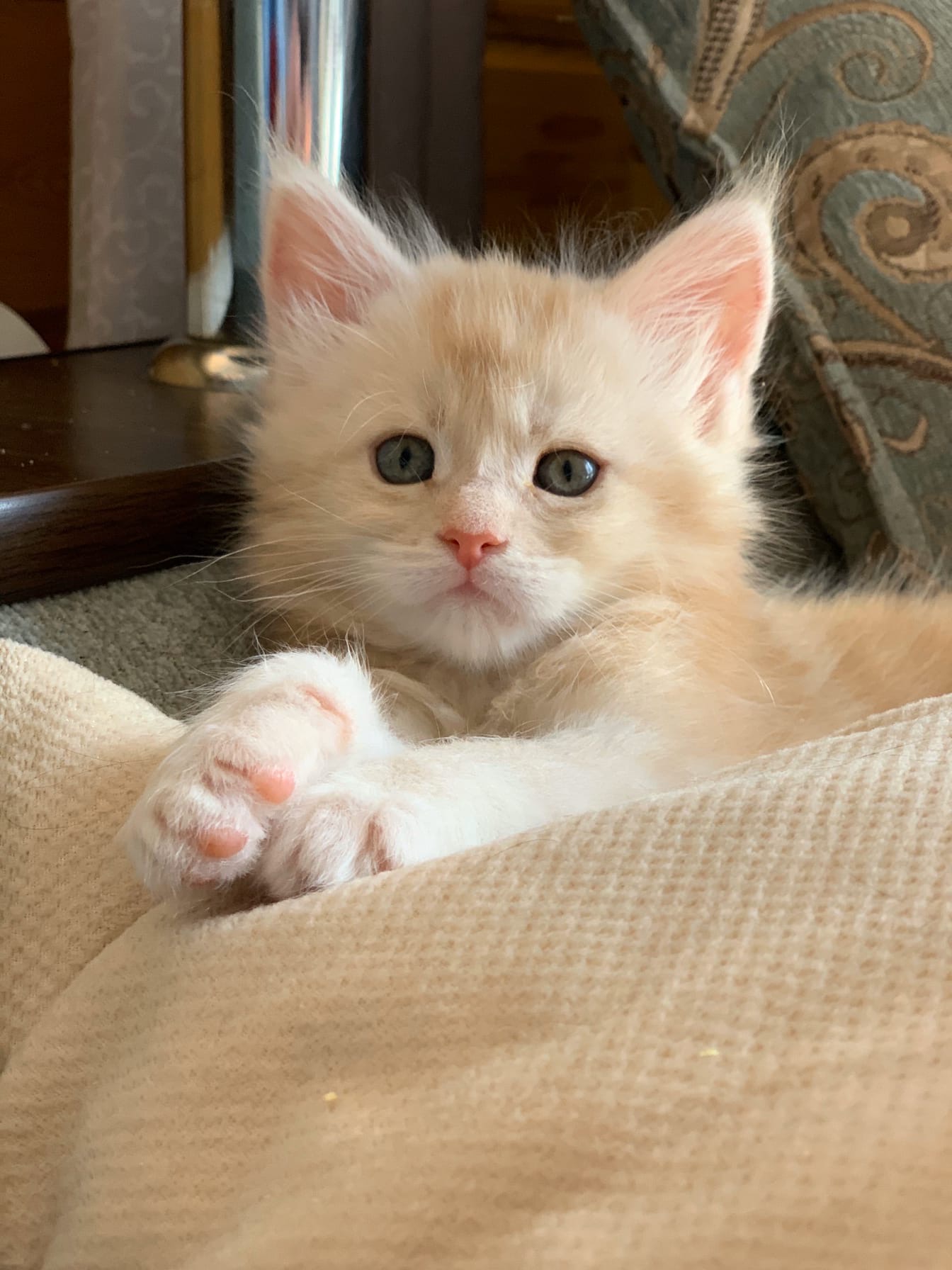 Давайте развлекайте, я скучаю