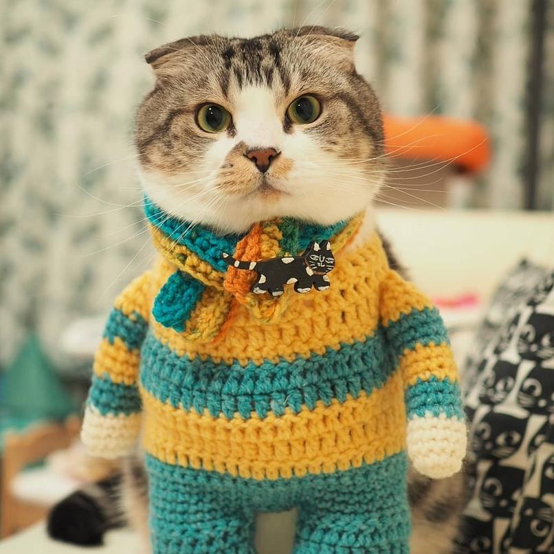 На прогулку готов