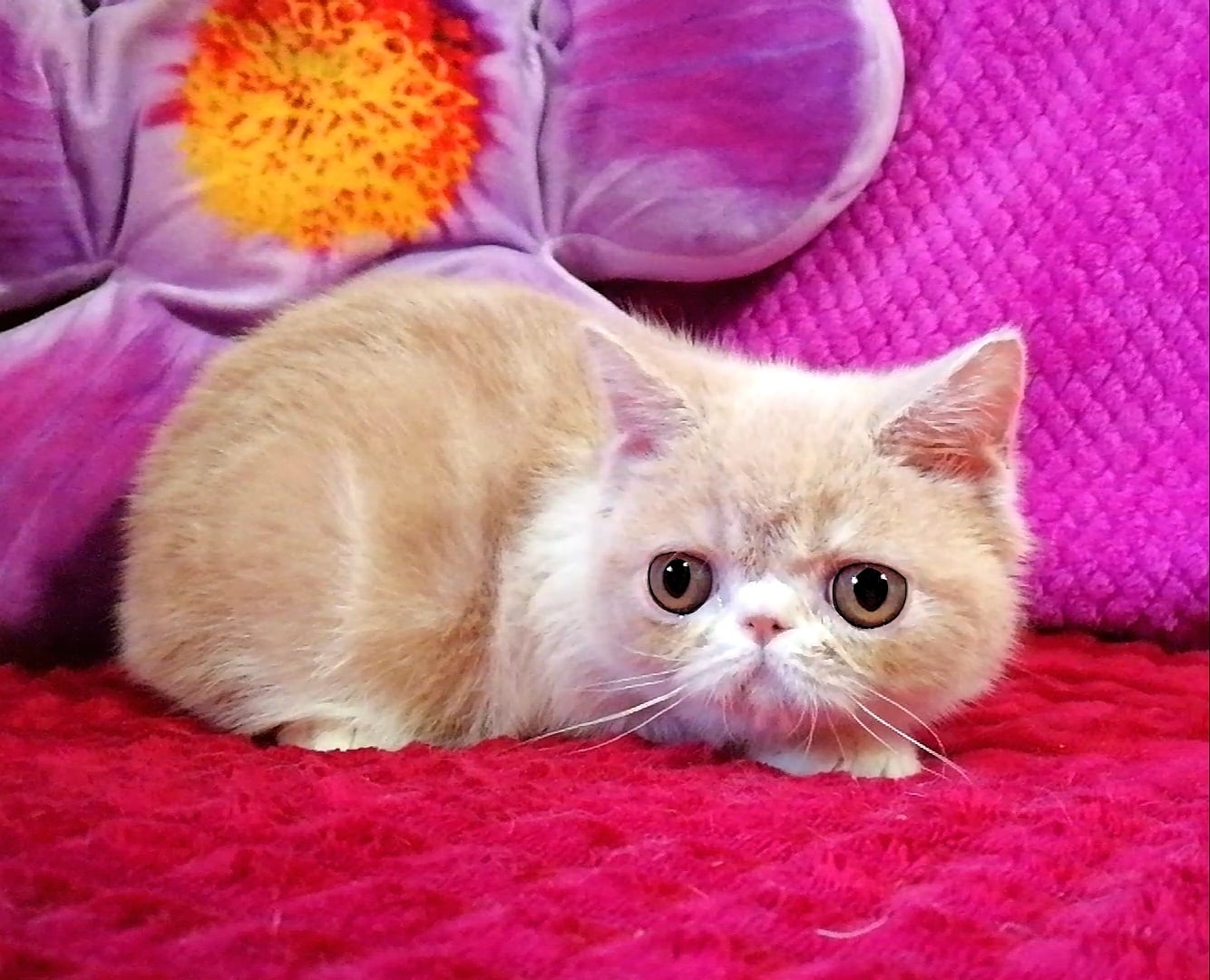 Как бы сныкаться