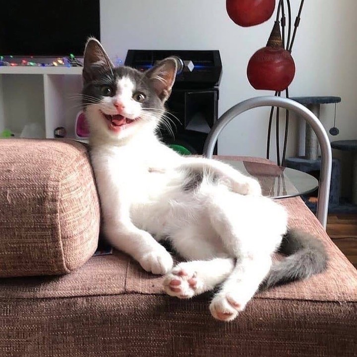 Весёлый парнишка