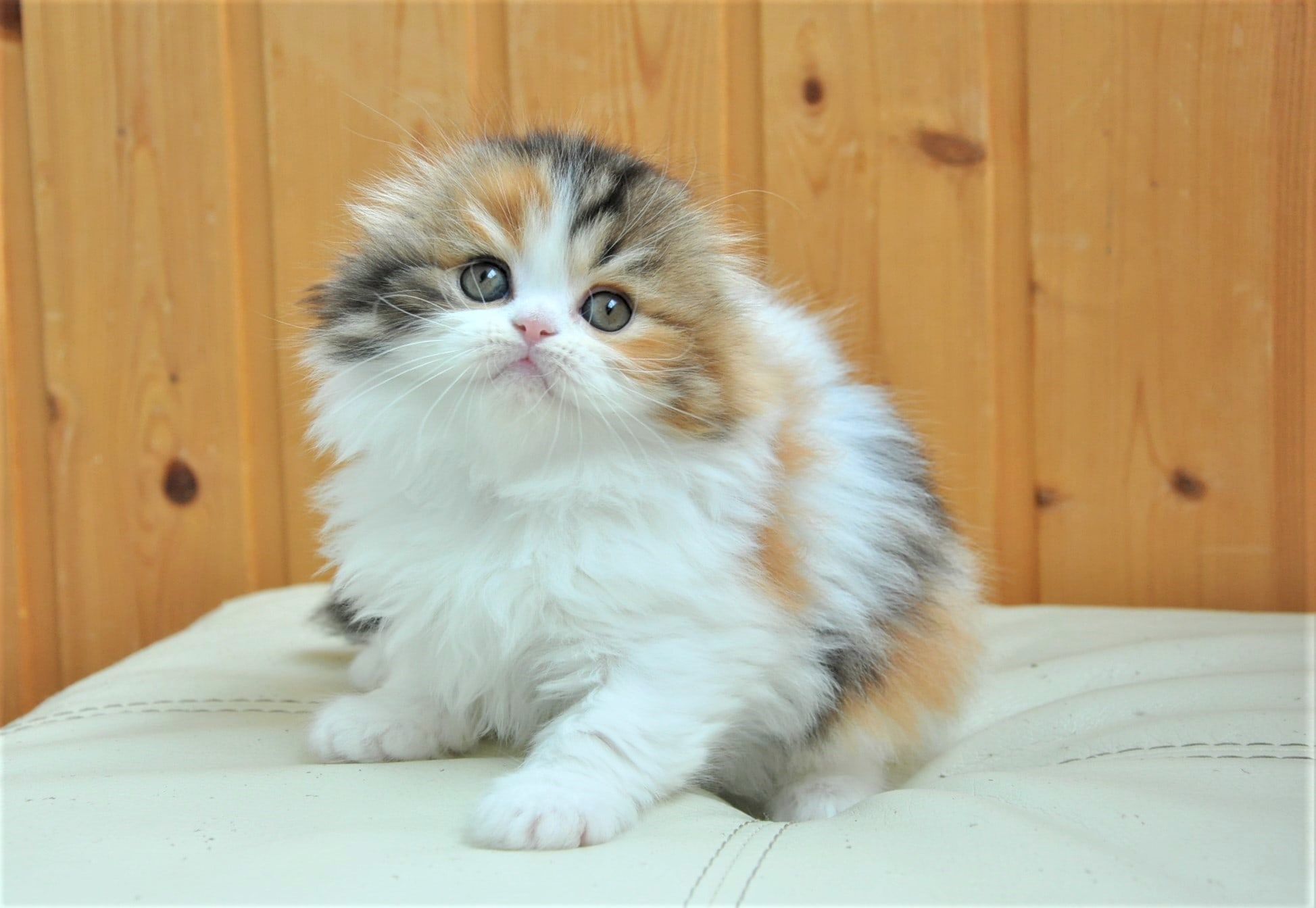 Опять любуетесь?