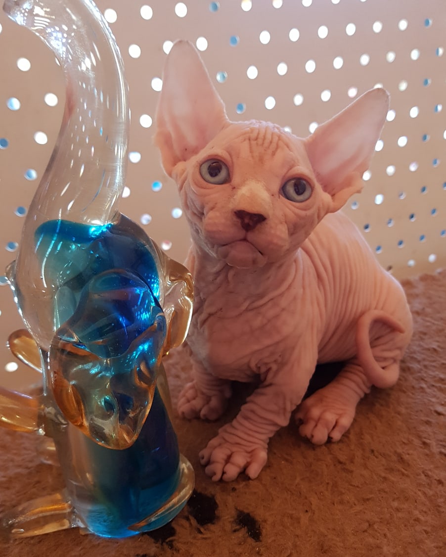 Фотка на память