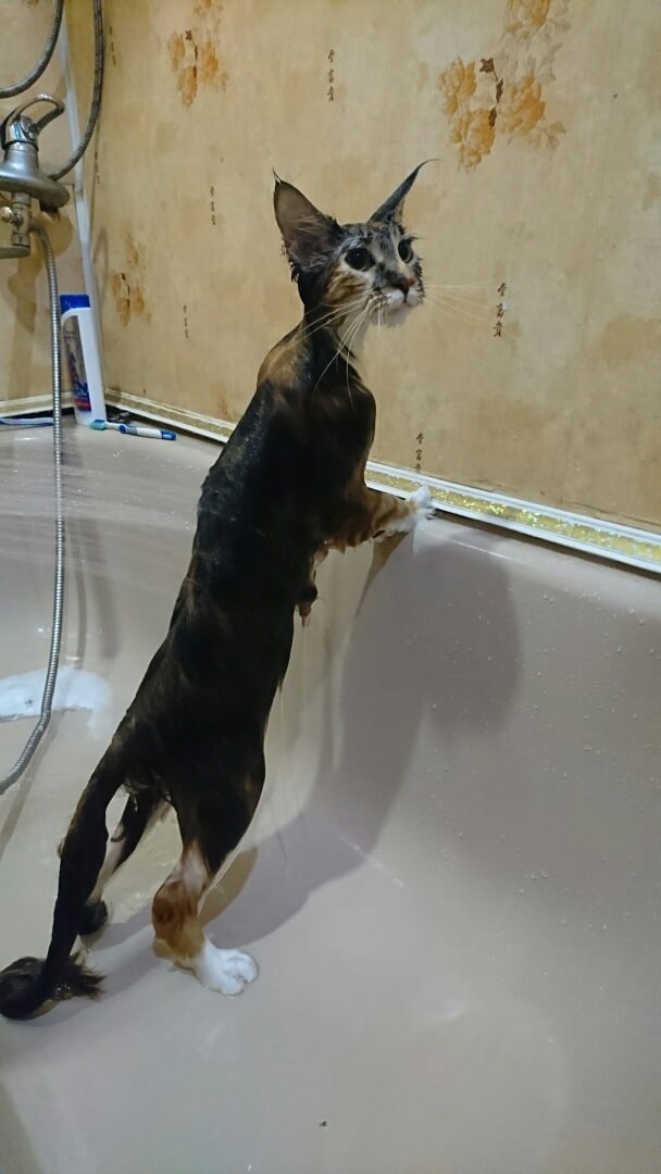 Что не узнаёте?