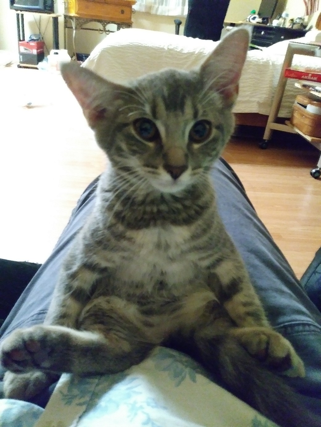 К прослушиванию сказок готов