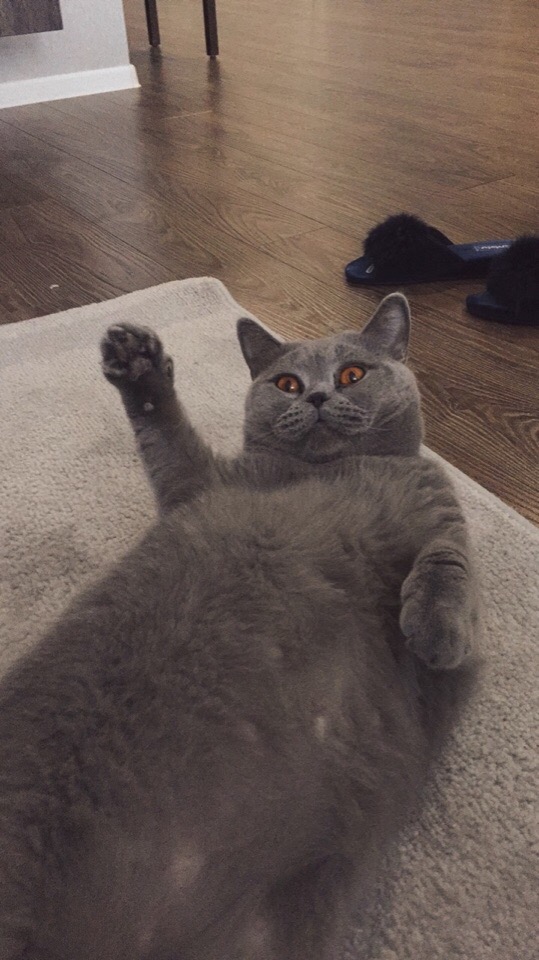 До кухни, подкиньте