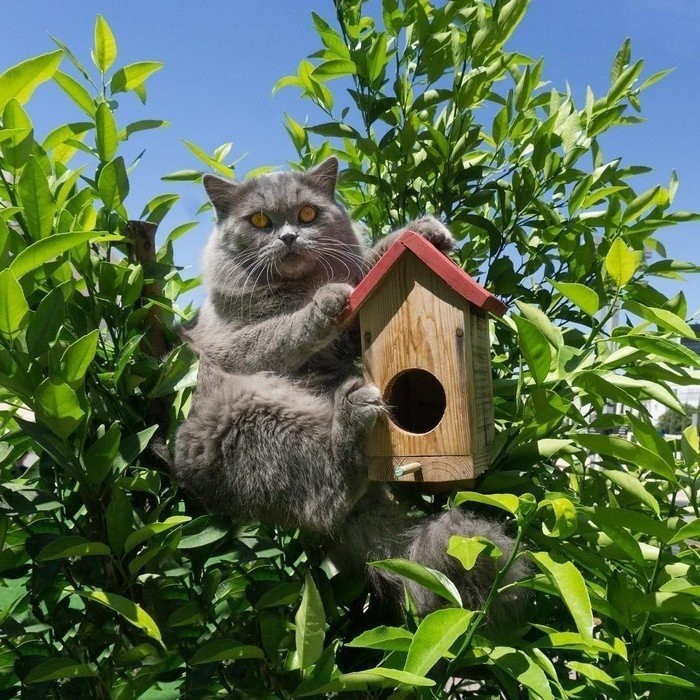 Снимите меня немедленно