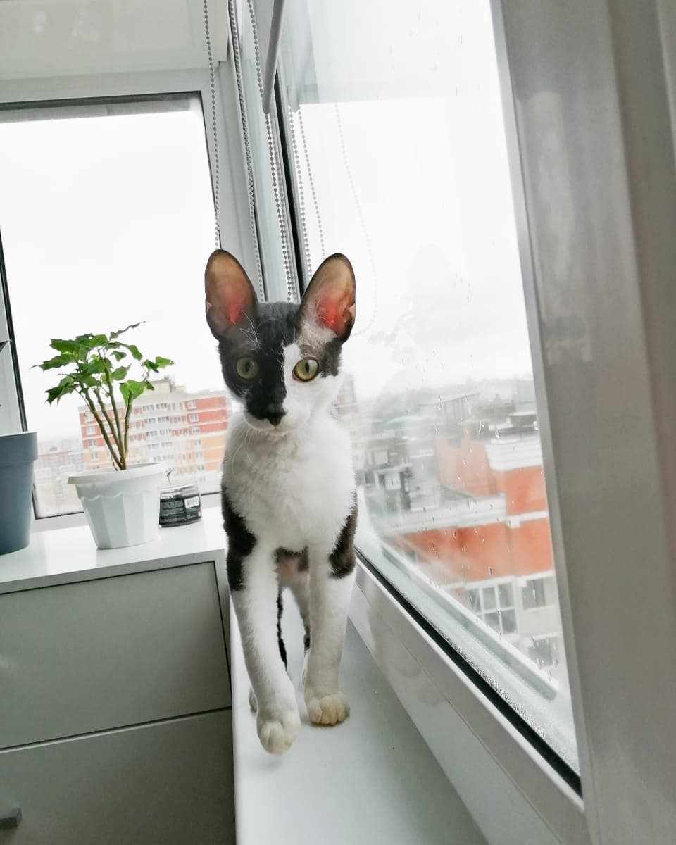 Прогулка на высоте