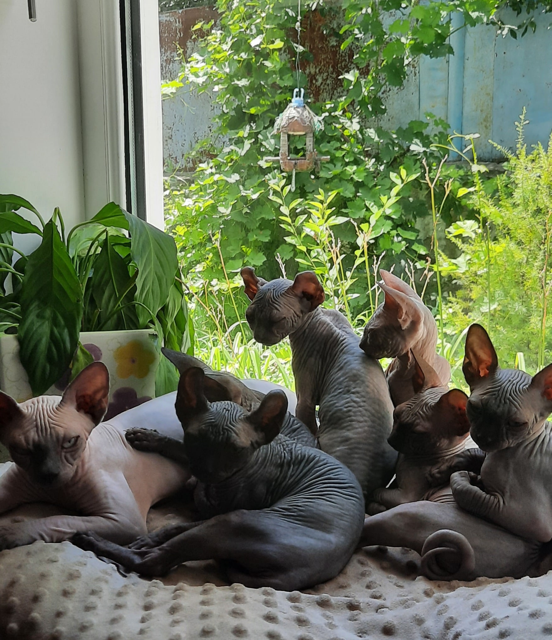 Ребетня отдыхает