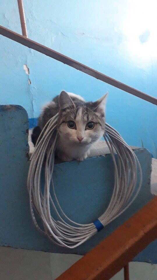 Кабельное проводить будите