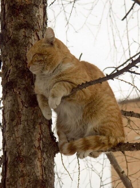 Поремлю чуток