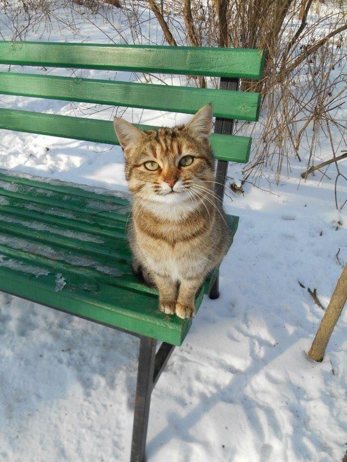 Добродушный гулёна