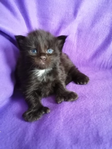 Первая фотосессия