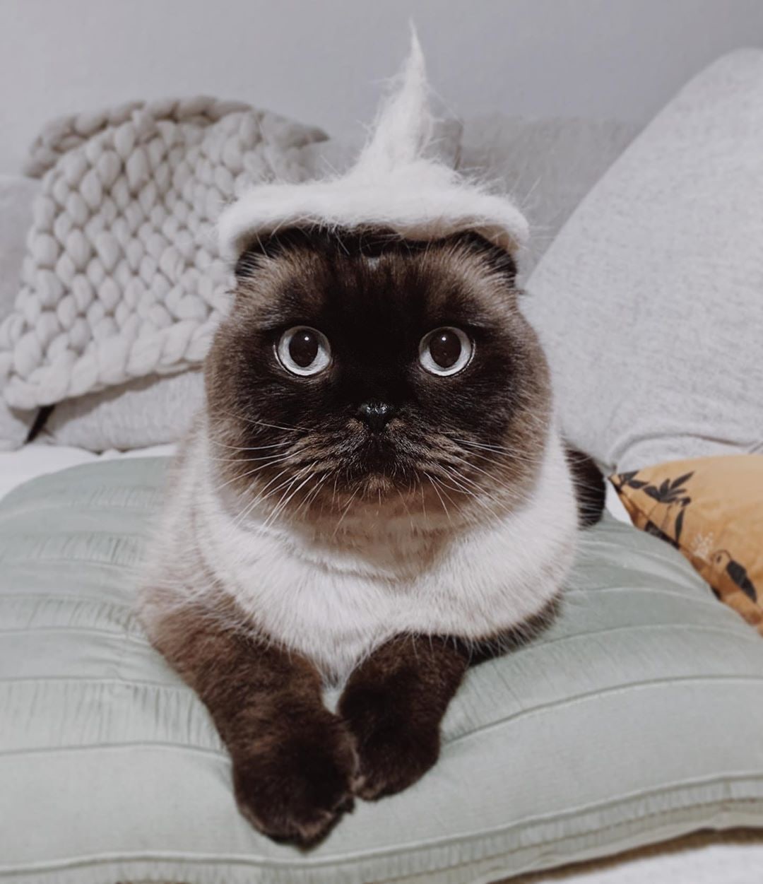 Красота в шапочке