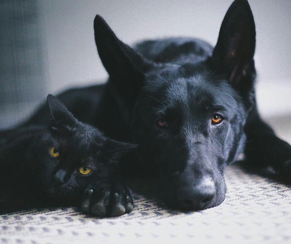 Два уголька