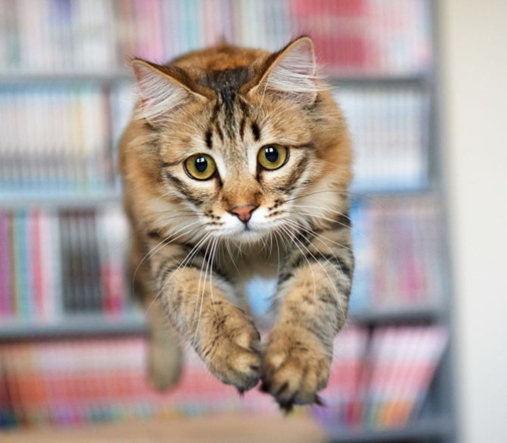 Ой, кажется не долечу