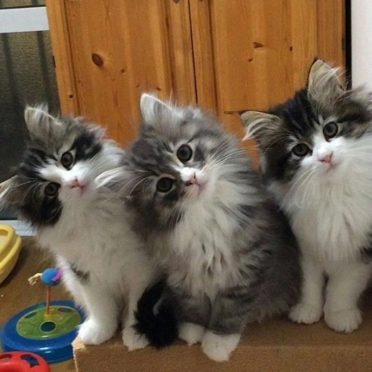 Мы любим интересненькое