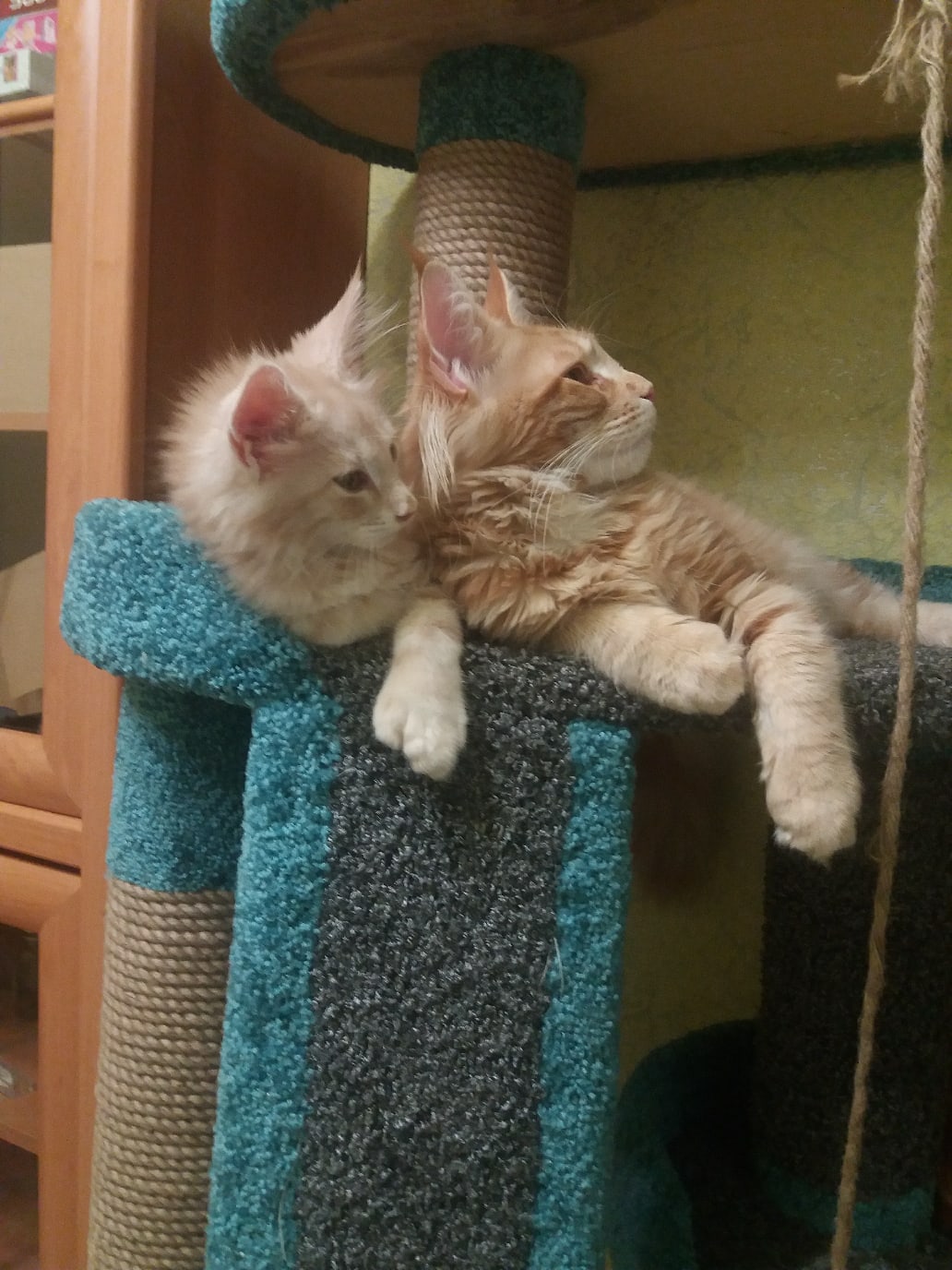 С чем бы ещё поиграть