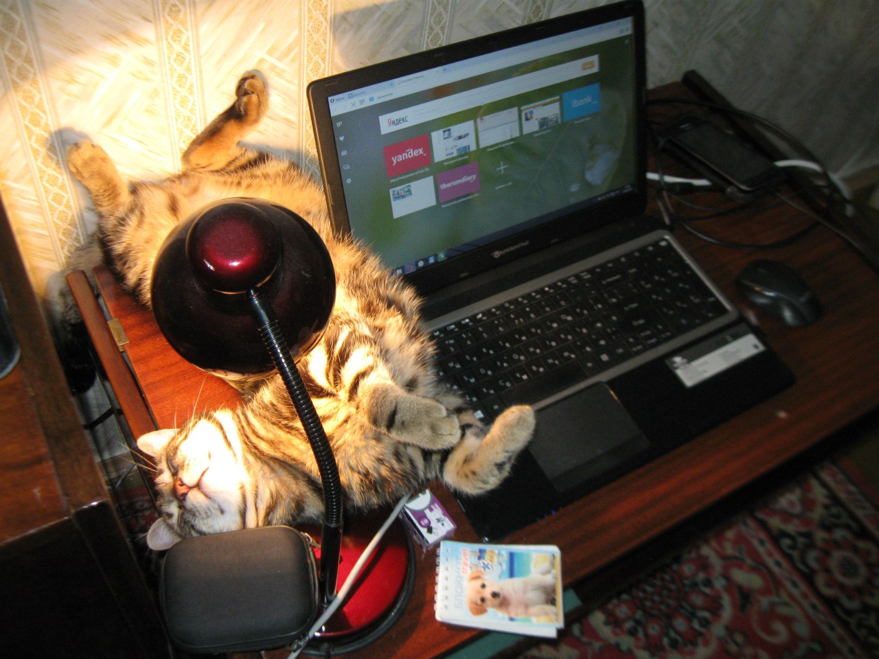 Солярий на рабочем столе