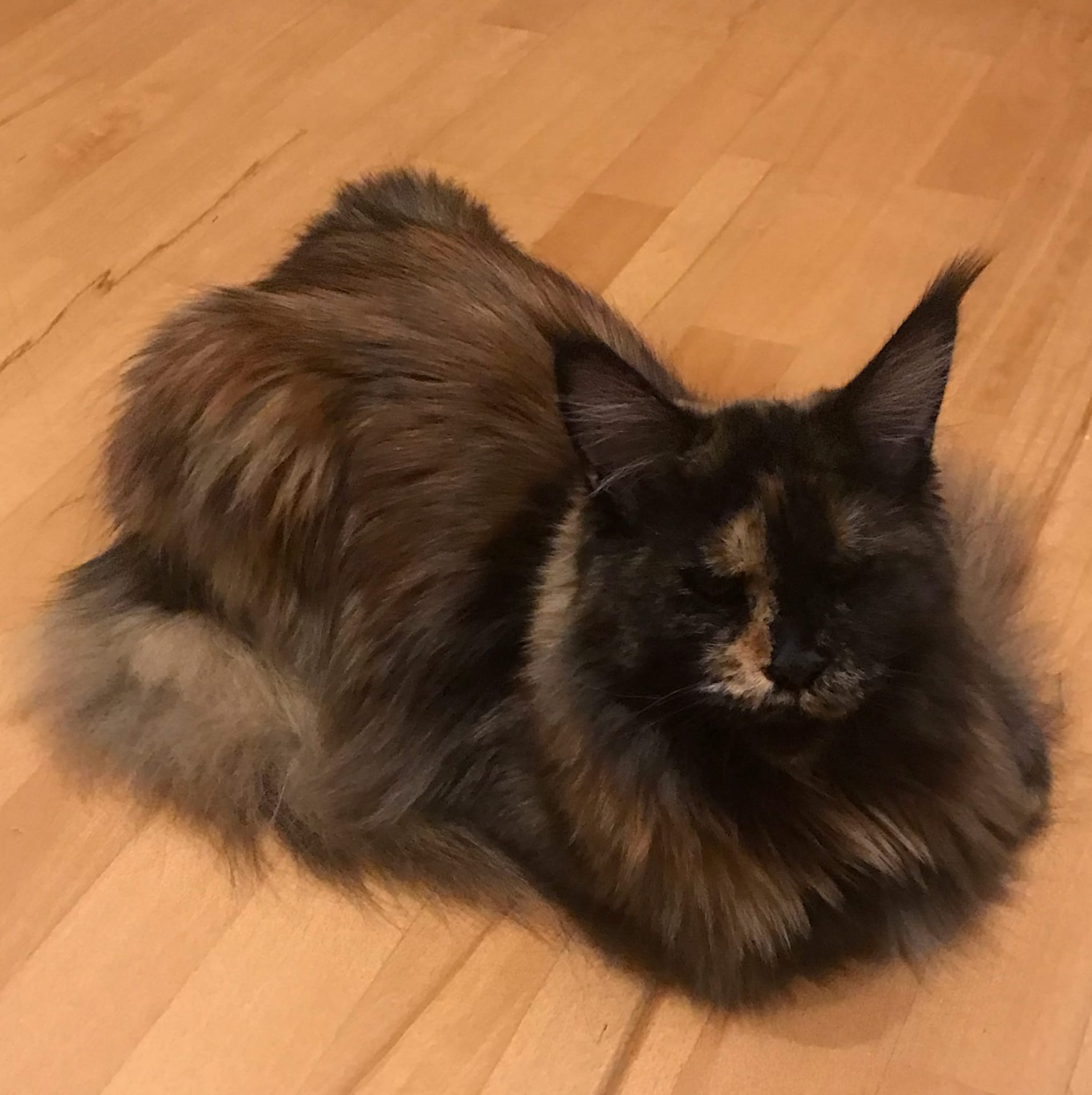 Я медитирую