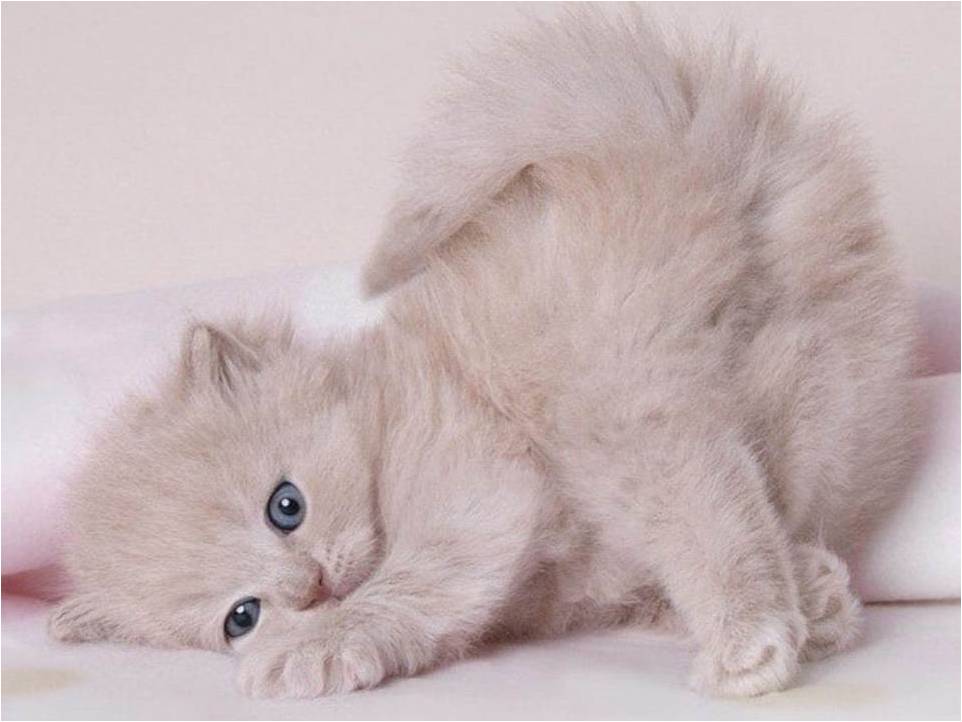 Маленькая выбражуля