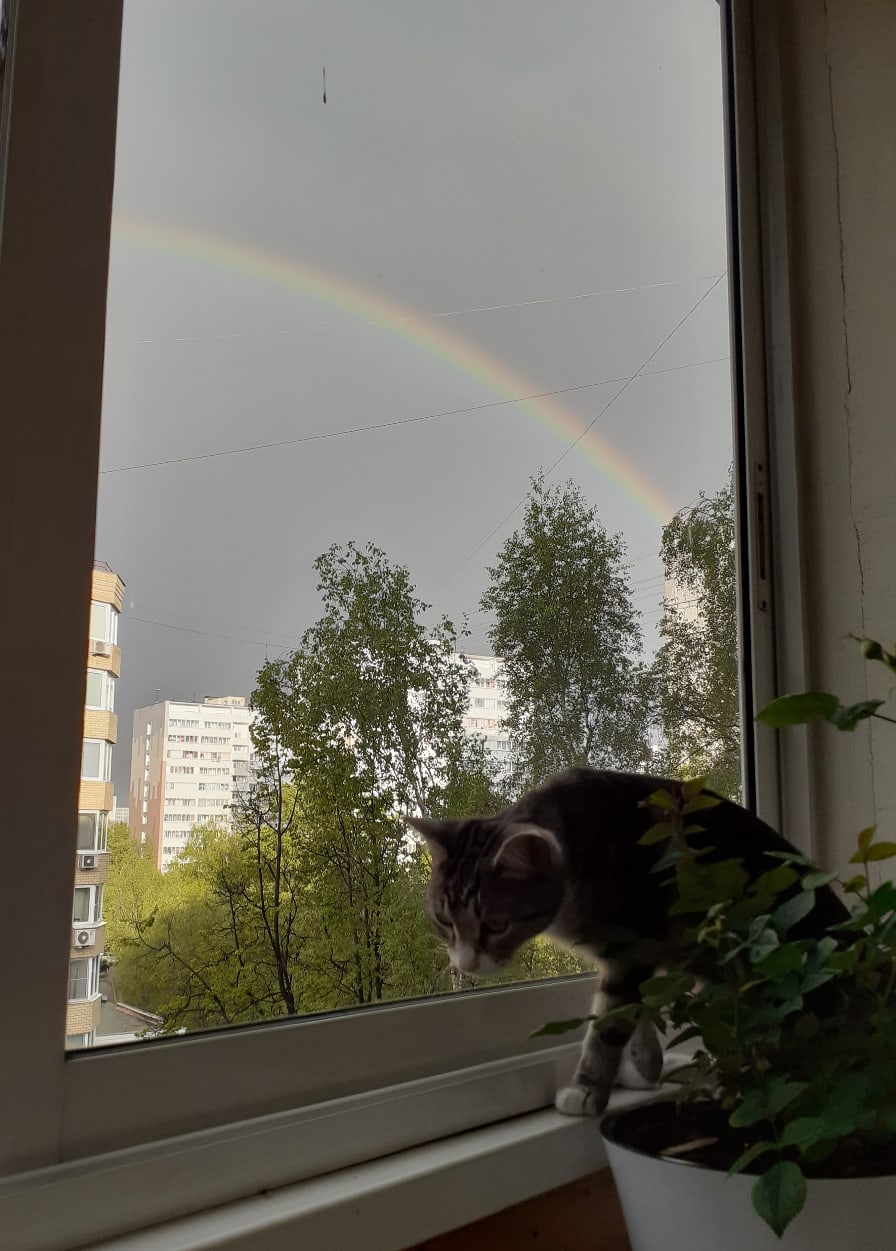 Что мне Ваша радуга, тут муха ползёт