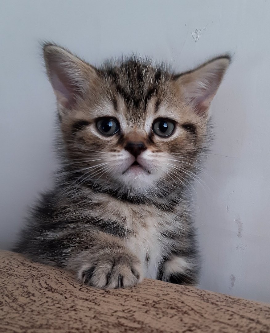 Я ещё маленький, меня трогать нельзя