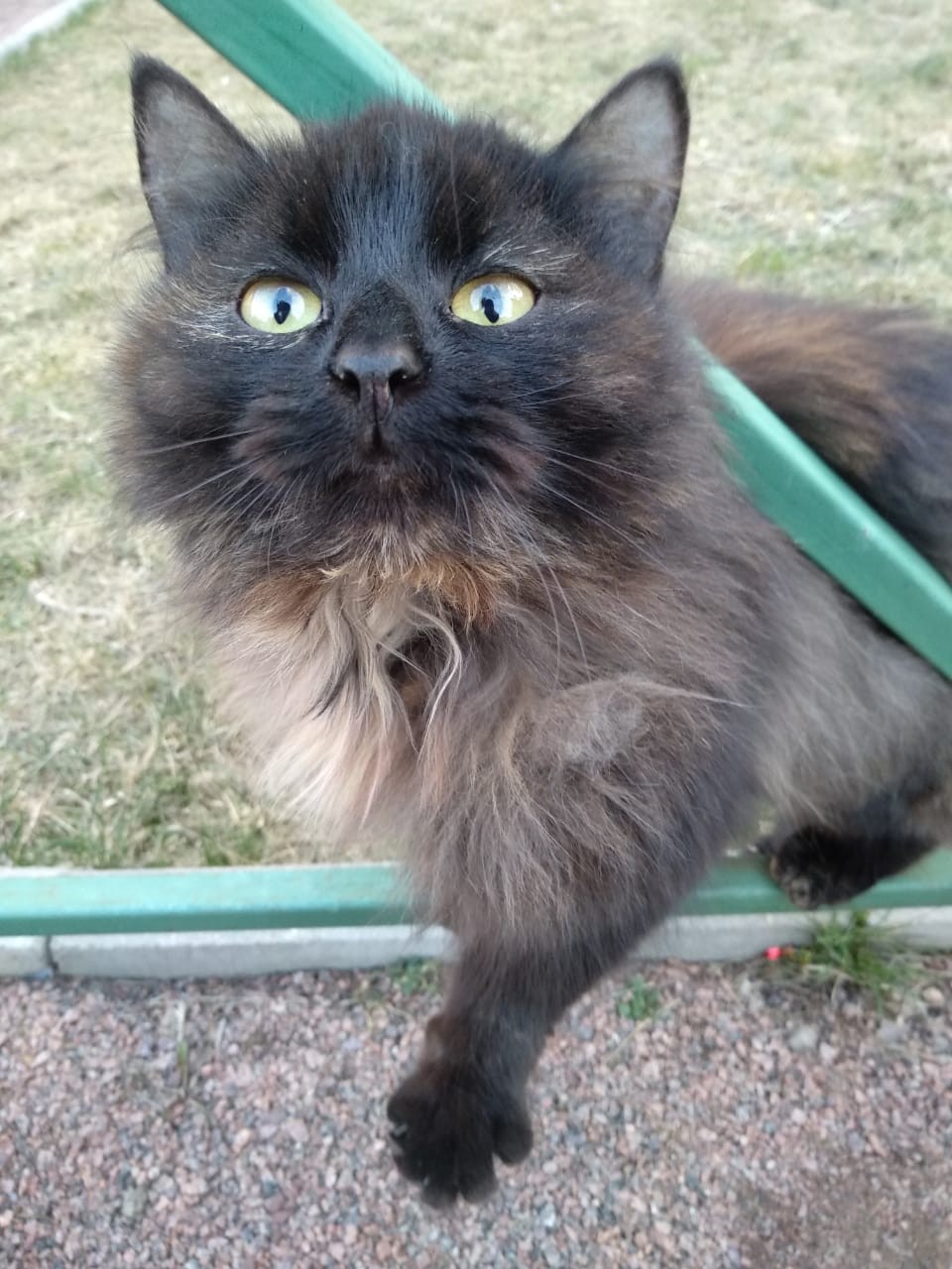 Что мне принесли