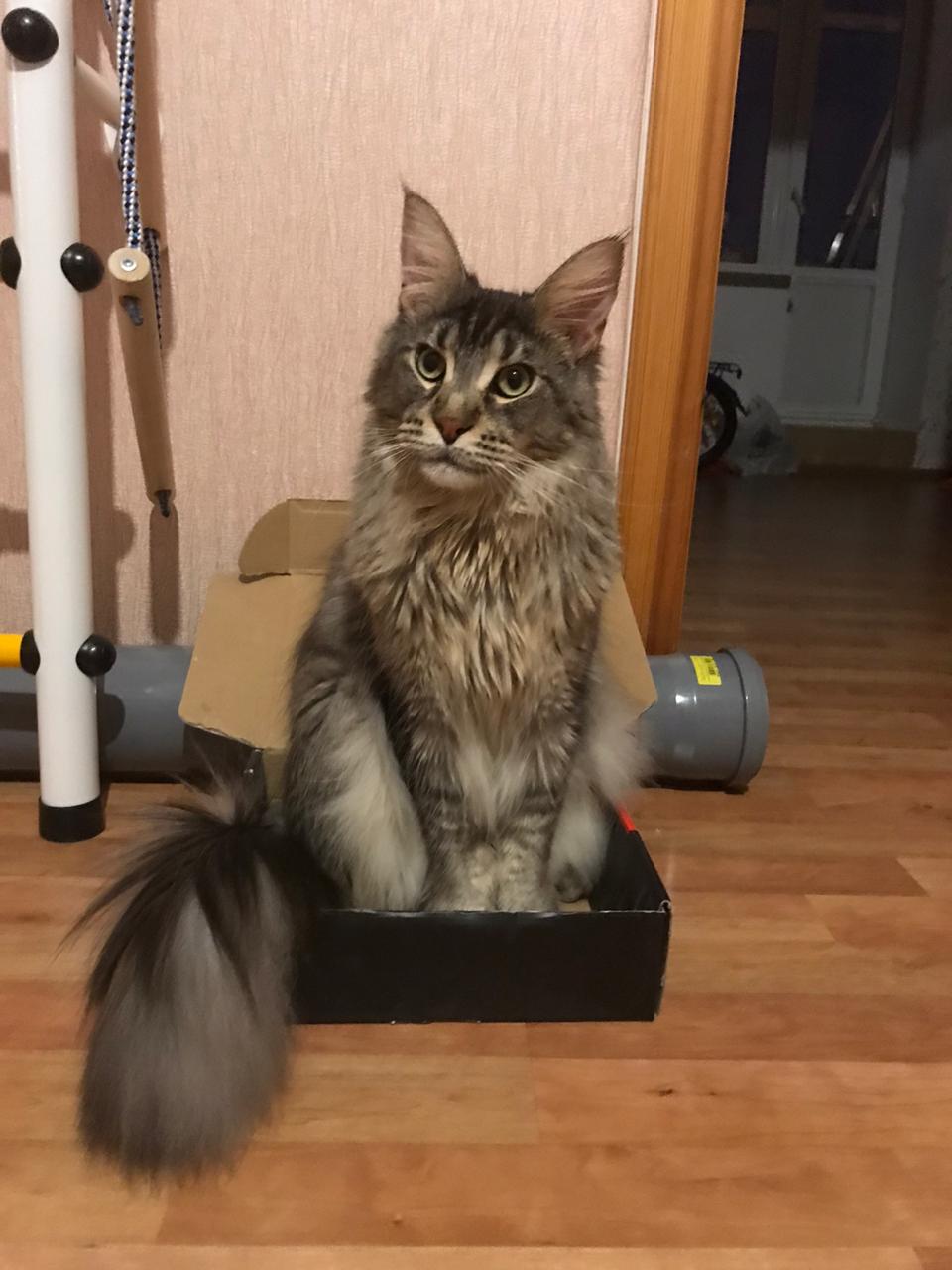 Почти поместился